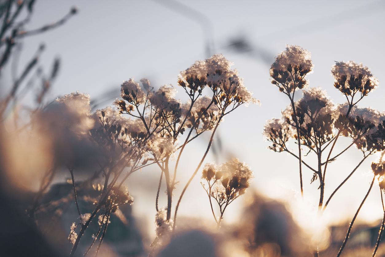 Our campsites still open in December !