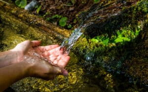 main qui récolte l'eau avec un tronc d'arbre