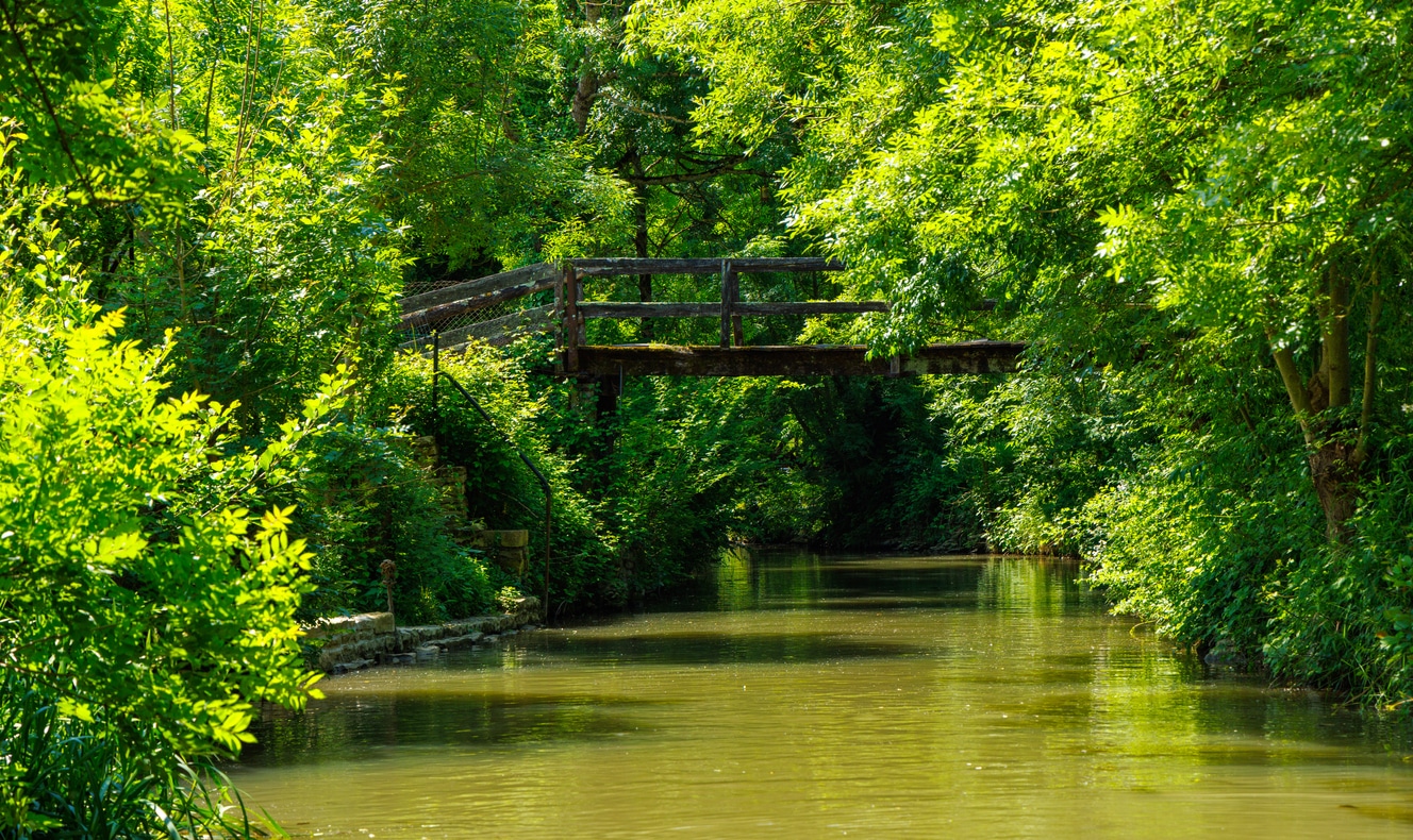 Marais Poitevin, Venise verte, Vendée, Deux Sèvres, Charente Maritime, Nouvelle Aquitaine, France