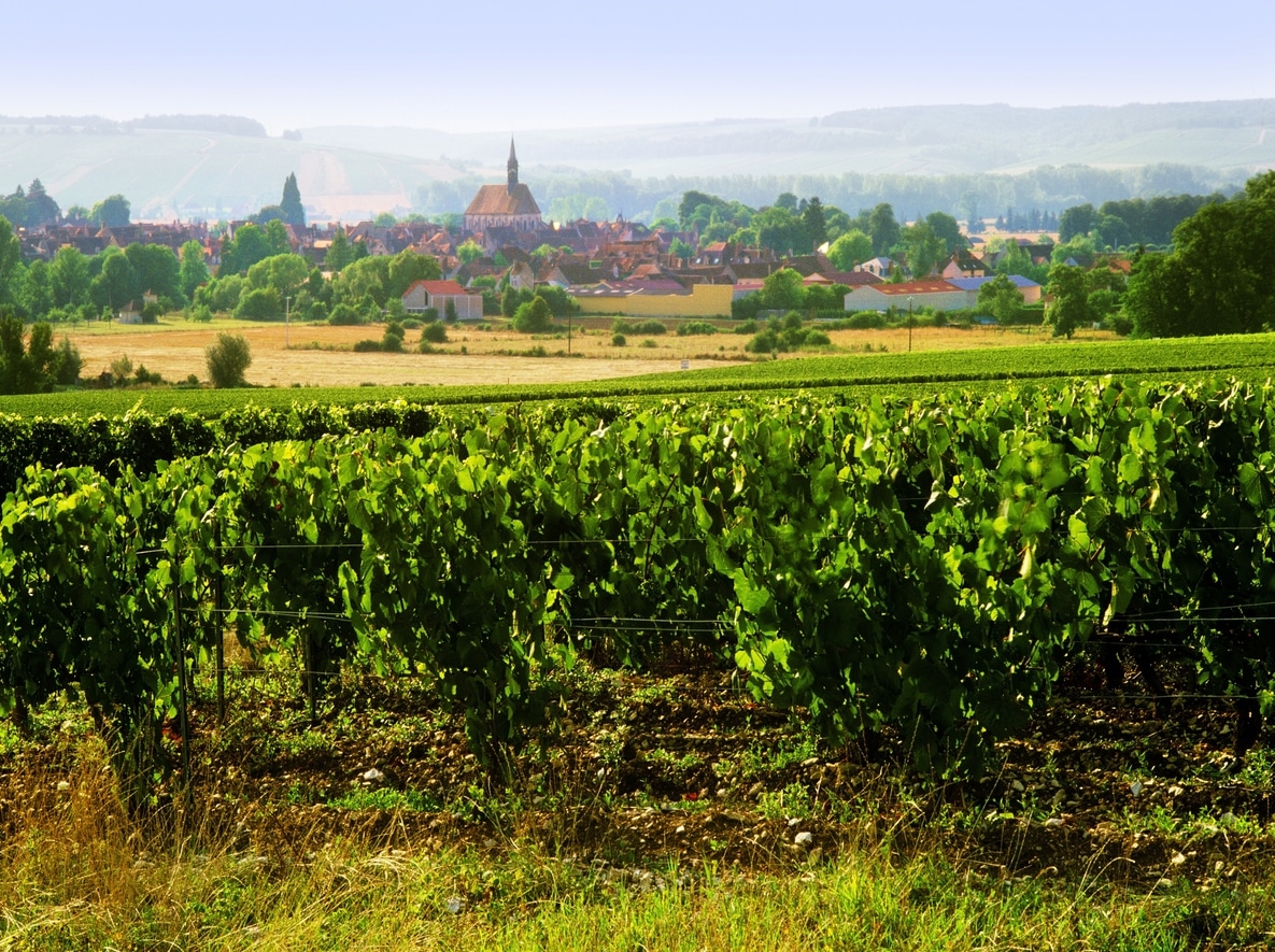 Chablis en Bourgogne, ses vignobles célèbres
