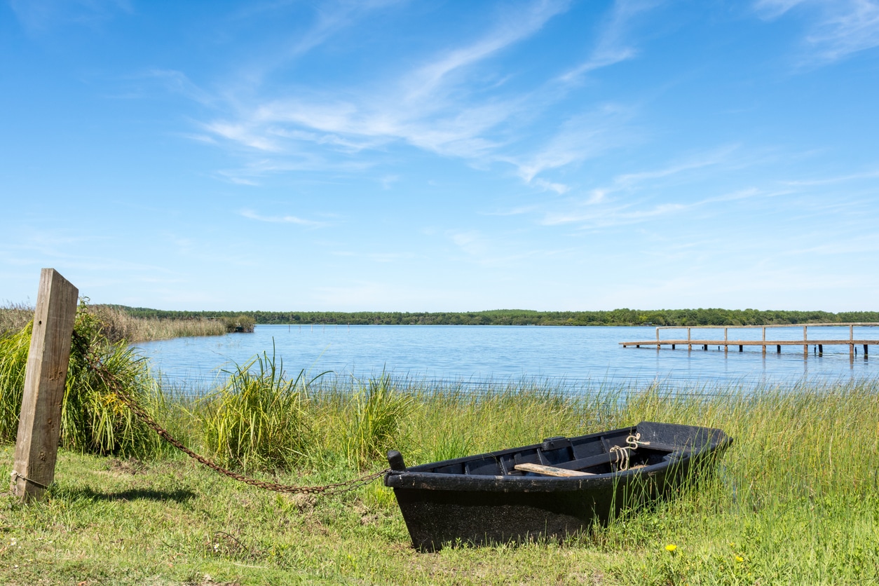 Etang d'Aureil entre Mimizan et Biscarosse dans les Landes