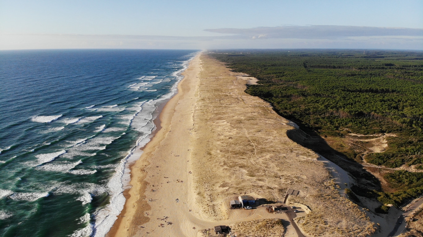 Panorama des Landes entre plages, forêts de pins et océan