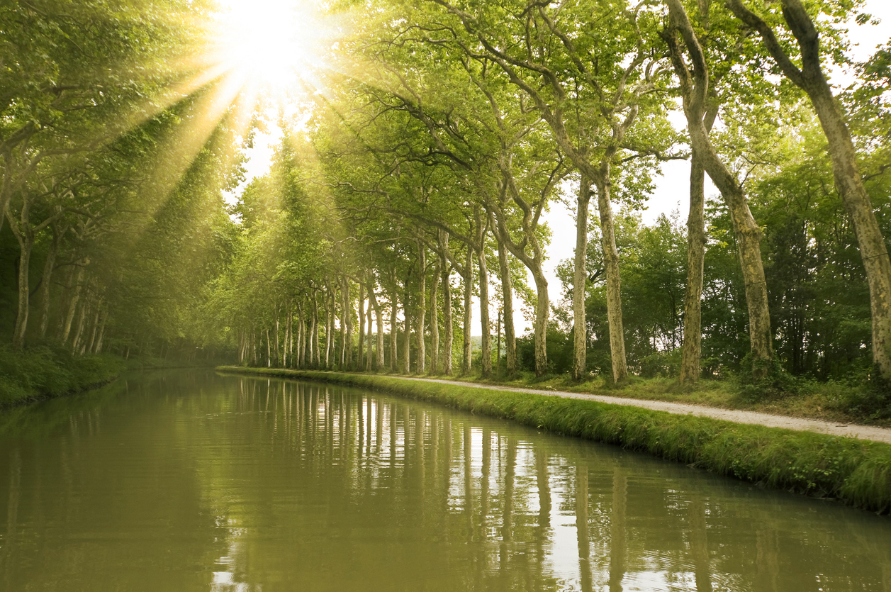 The Canal du Midi, southern France