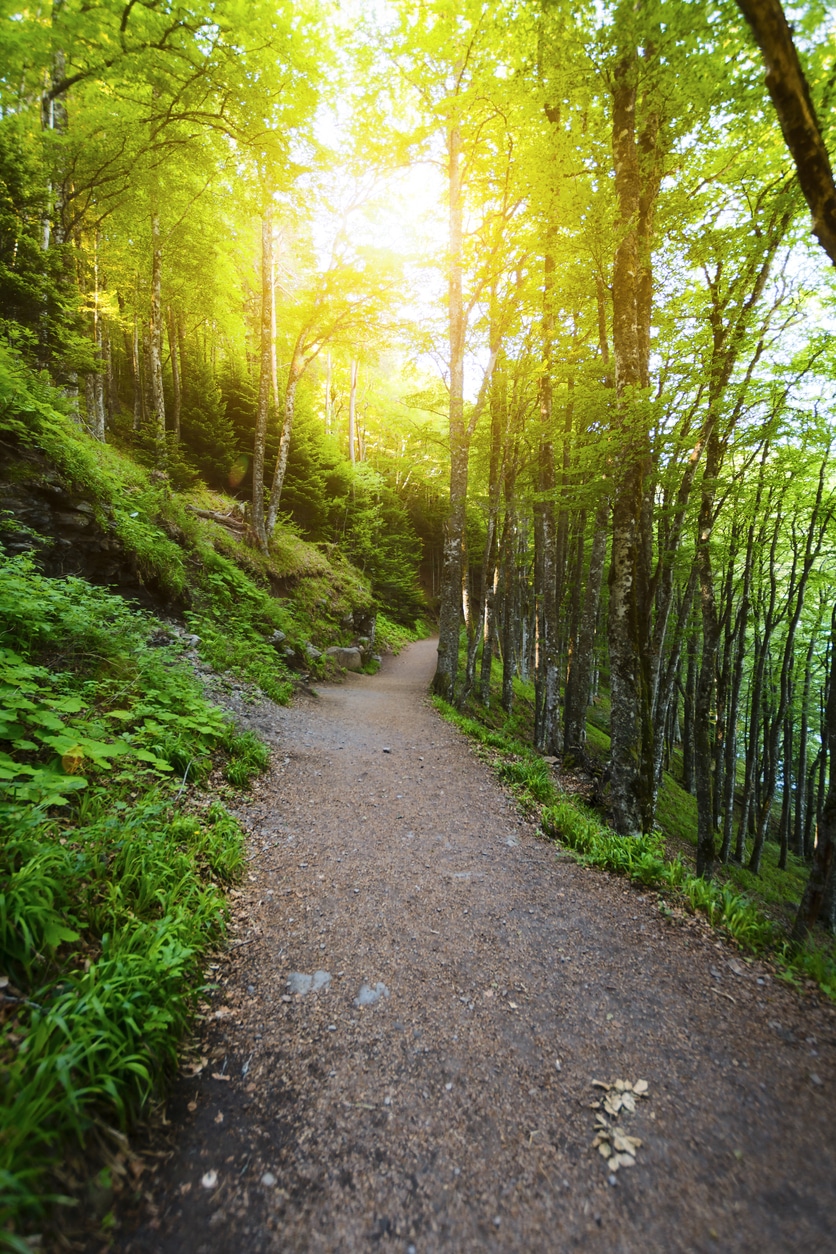 chemin autour du lac