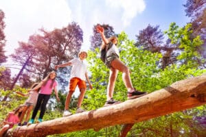 groupe d'enfant marchant sur un arbre