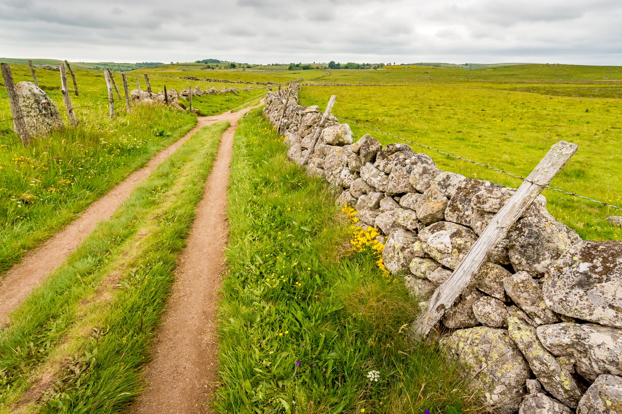 sur les chemins du plateau d'aubrac