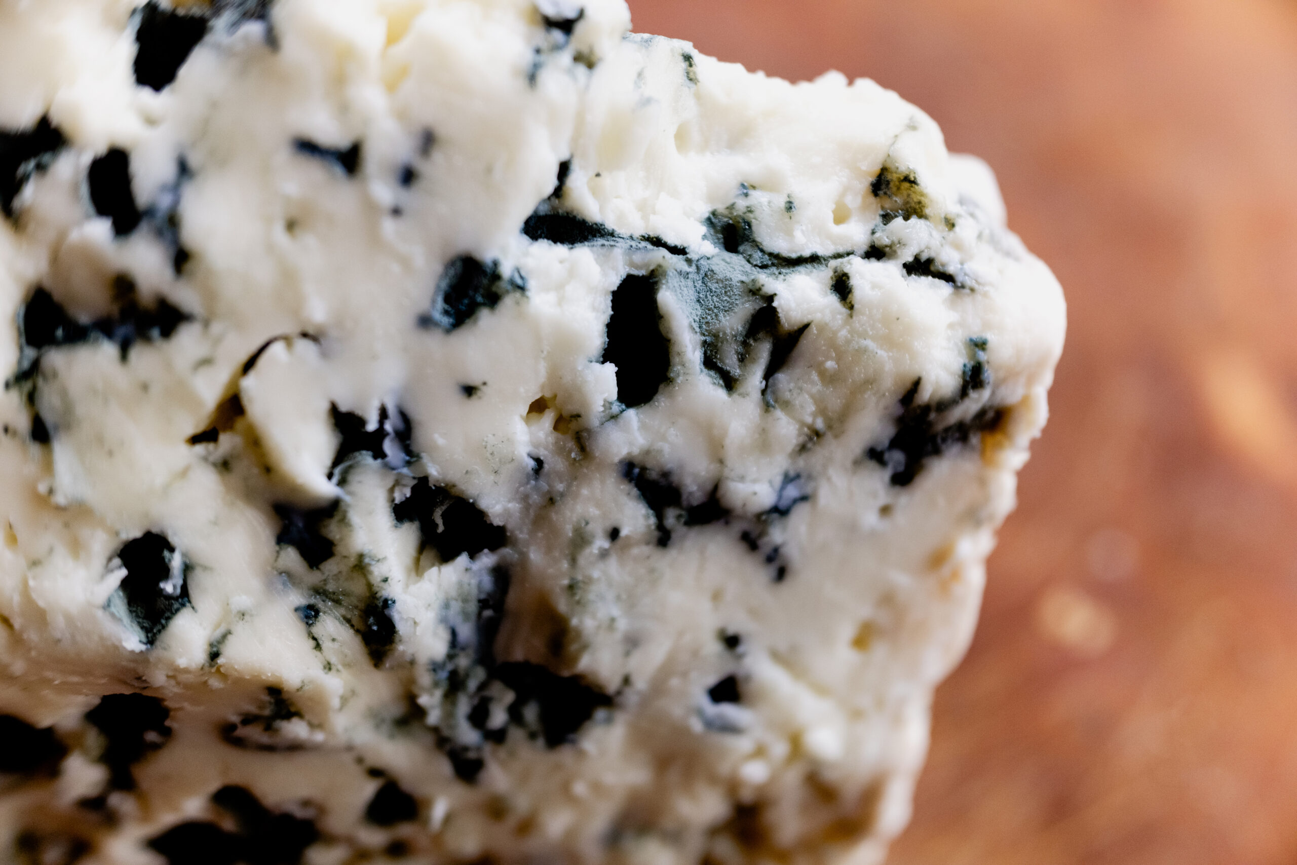 fromage bleu gros plan