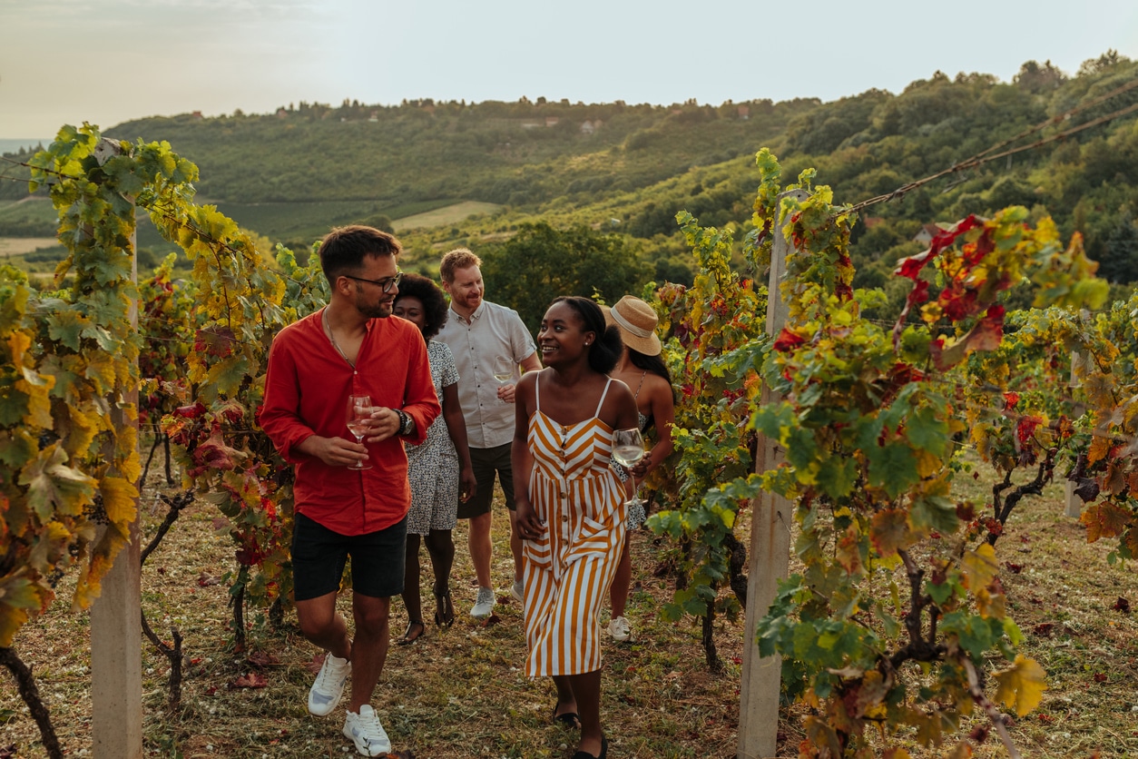 Personnes visitant des vignes avec un verre à la main