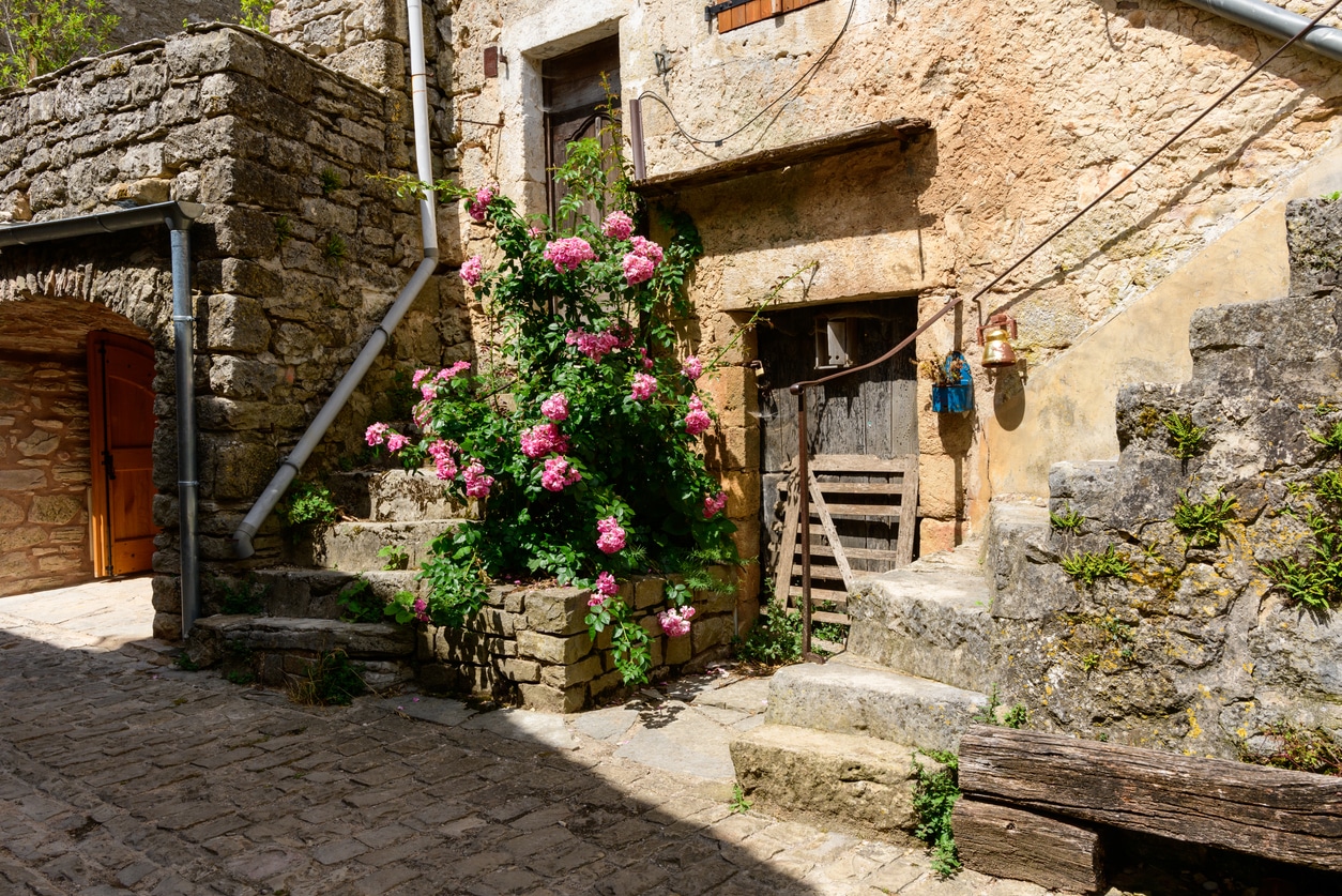 Rue fleurie de la Couvertoirade