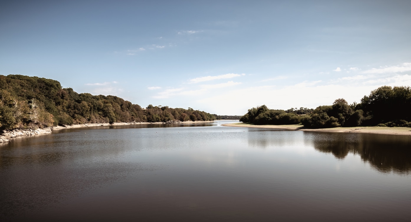 vue sur le lac du jaunay en vendée et son eau huileuse