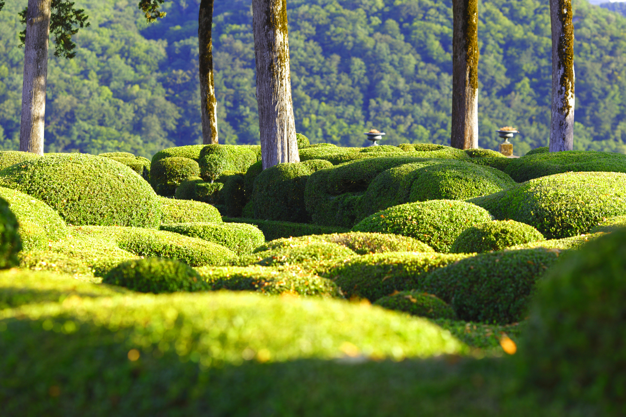 Jardins de Marqueyssac verdoyants